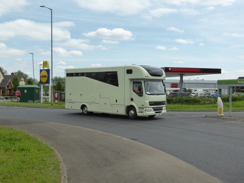 Photo horse lorry - horse,