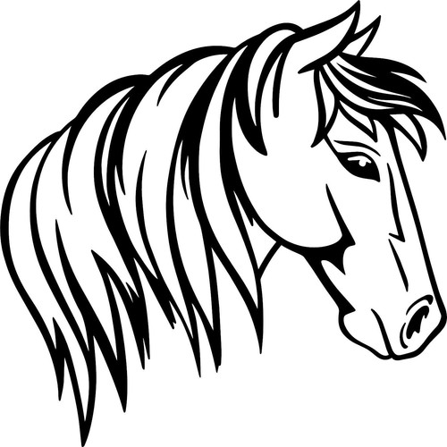 Horse vinyl decal sticker for - horse,