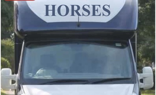 Horse box lettering vinyl - horse,