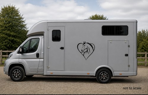 Horse box vinyl - horse,