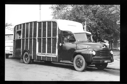 Cv134 horse box reg - reg, hdp