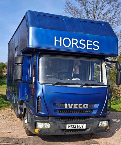 Iveco 75e16 horse lorry - iveco,