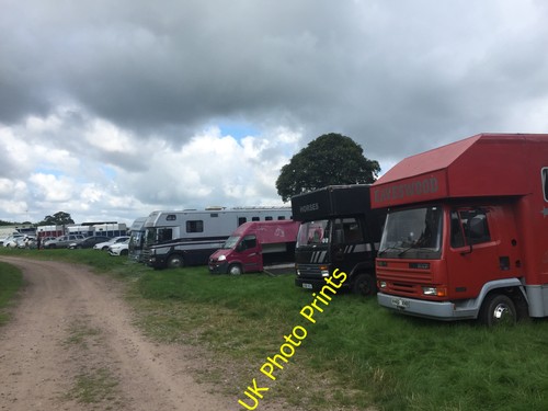 Photo 6x4 betley show horse - show:,
